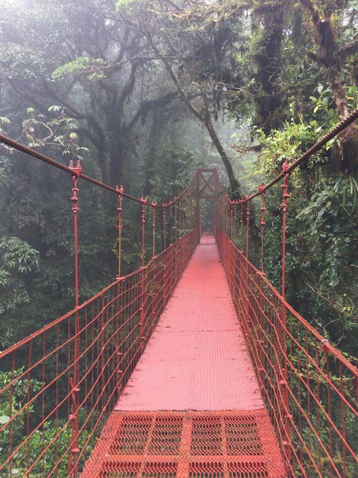 Hostel California Monteverde Luaran gambar