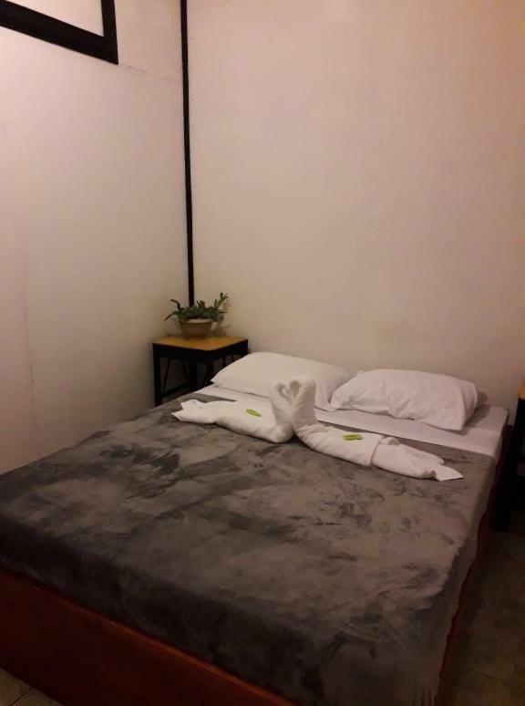Hostel California Monteverde Luaran gambar
