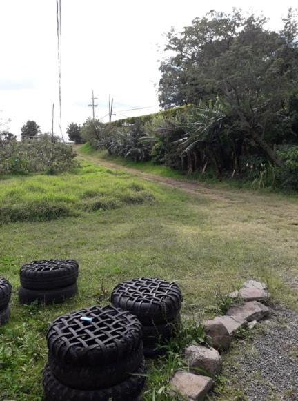 Hostel California Monteverde Luaran gambar